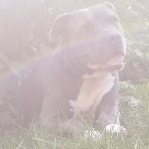 Meet your Posher, Kierra